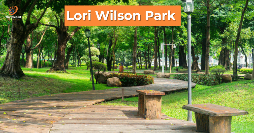 lori wilson park