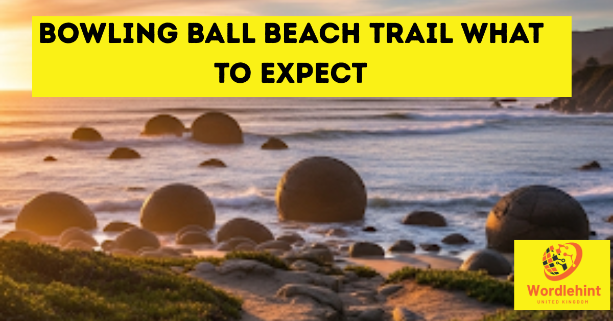 Bowling Ball Beach